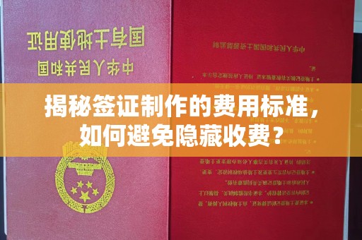 新龙揭秘签证制作的费用标准，如何避免隐藏收费？