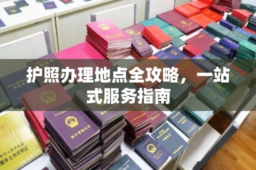 新龙护照办理地点全攻略，一站式服务指南