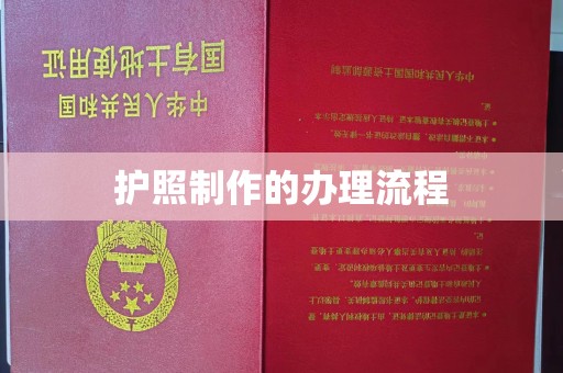 新龙护照制作的办理流程