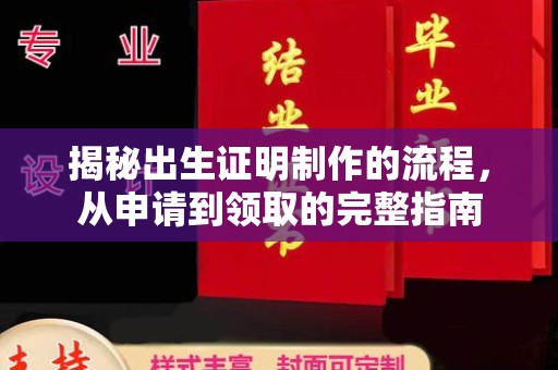 新龙揭秘出生证明制作的流程，从申请到领取的完整指南