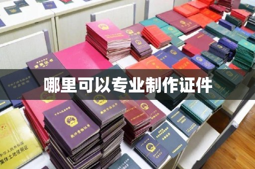 新龙哪里可以专业制作证件