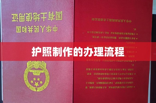 新龙护照制作的办理流程