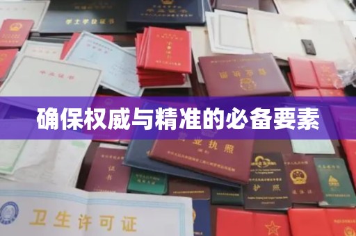 新龙确保权威与精准的必备要素