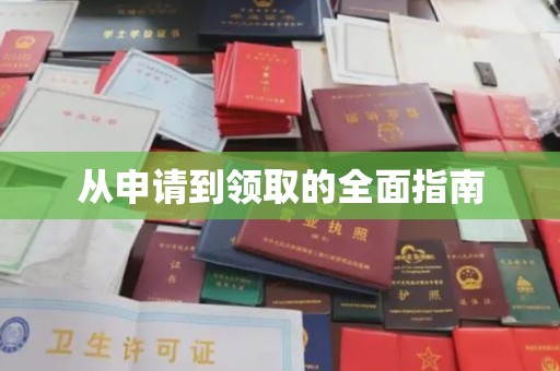 新龙从申请到领取的全面指南