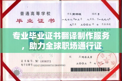 新龙专业毕业证书翻译制作服务，助力全球职场通行证
