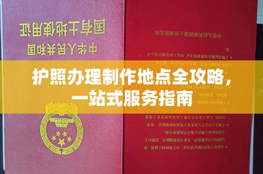 新龙护照办理制作地点全攻略，一站式服务指南