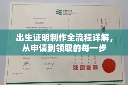 新龙出生证明制作全流程详解，从申请到领取的每一步