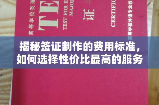 新龙揭秘签证制作的费用标准，如何选择性价比最高的服务？