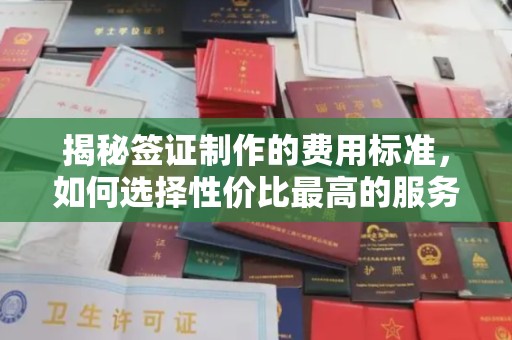 新龙揭秘签证制作的费用标准，如何选择性价比最高的服务？