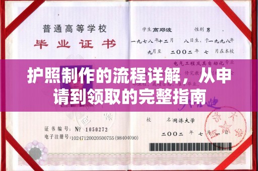 新龙护照制作的流程详解，从申请到领取的完整指南