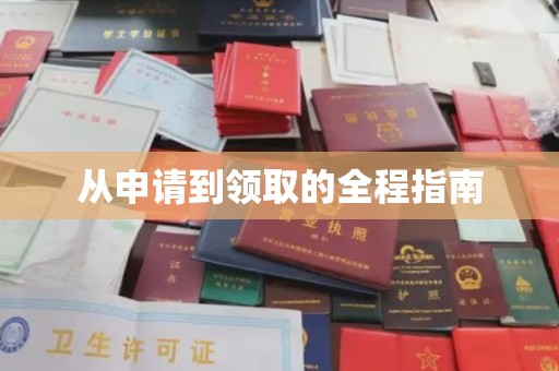 新龙从申请到领取的全程指南