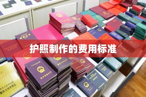 新龙护照制作的费用标准