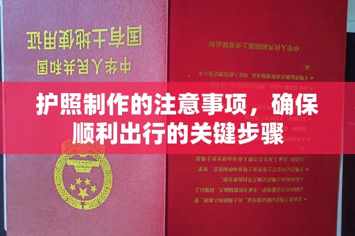 新龙护照制作的注意事项，确保顺利出行的关键步骤