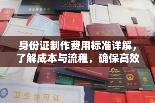 新龙身份证制作费用标准详解，了解成本与流程，确保高效办理