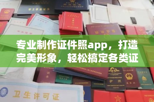 新龙专业制作证件照app，打造完美形象，轻松搞定各类证件照