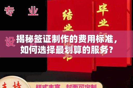 新龙揭秘签证制作的费用标准，如何选择最划算的服务？