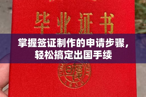 新龙掌握签证制作的申请步骤，轻松搞定出国手续