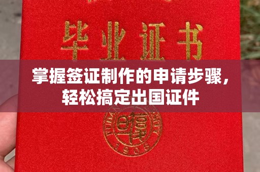 新龙掌握签证制作的申请步骤，轻松搞定出国证件