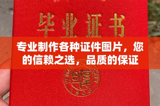 新龙专业制作各种证件图片，您的信赖之选，品质的保证