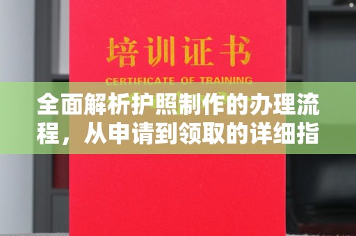 新龙全面解析护照制作的办理流程，从申请到领取的详细指南