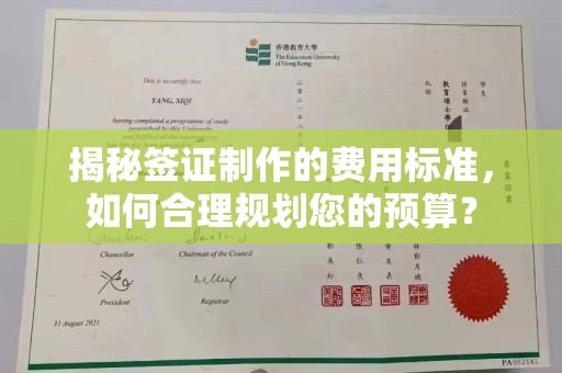 新龙揭秘签证制作的费用标准，如何合理规划您的预算？
