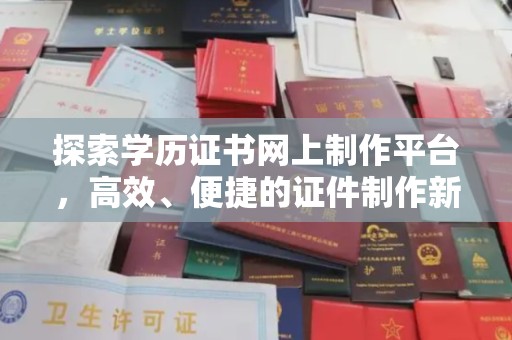 新龙探索学历证书网上制作平台，高效、便捷的证件制作新选择