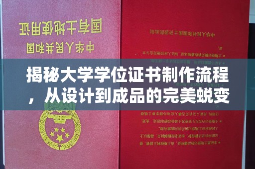 新龙揭秘大学学位证书制作流程，从设计到成品的完美蜕变