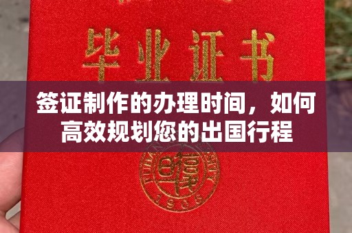 新龙签证制作的办理时间，如何高效规划您的出国行程