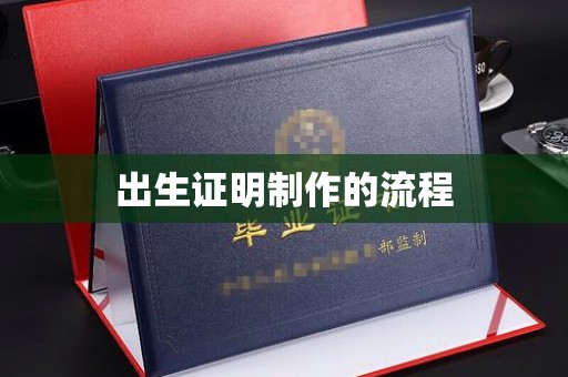 新龙出生证明制作的流程