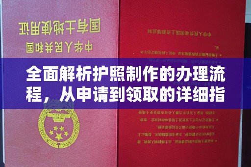 新龙全面解析护照制作的办理流程，从申请到领取的详细指南