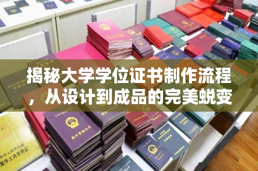 新龙揭秘大学学位证书制作流程，从设计到成品的完美蜕变
