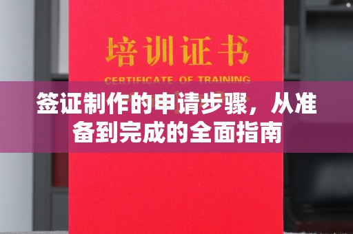 新龙签证制作的申请步骤，从准备到完成的全面指南