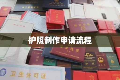 新龙护照制作申请流程