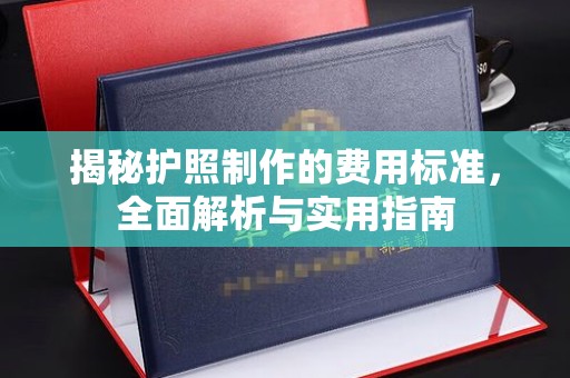 新龙揭秘护照制作的费用标准，全面解析与实用指南
