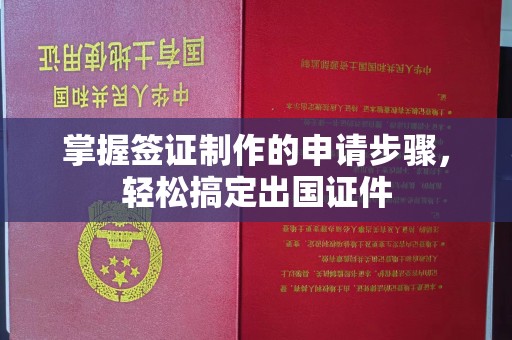 新龙掌握签证制作的申请步骤，轻松搞定出国证件