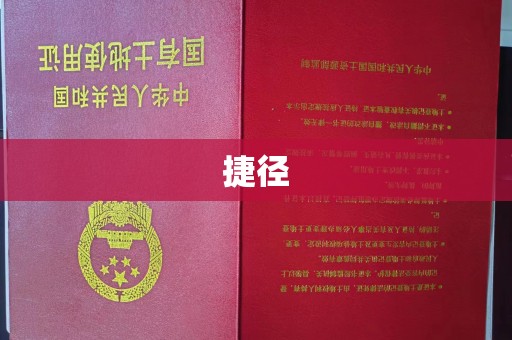 新龙捷径