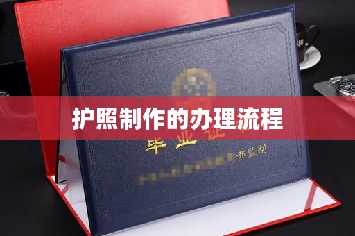 新龙护照制作的办理流程
