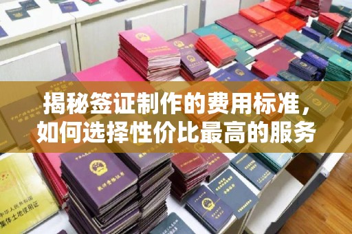 新龙揭秘签证制作的费用标准，如何选择性价比最高的服务？