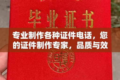 新龙专业制作各种证件电话，您的证件制作专家，品质与效率的完美结合