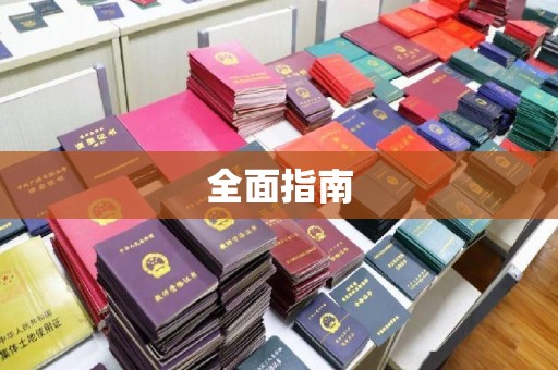 新龙全面指南