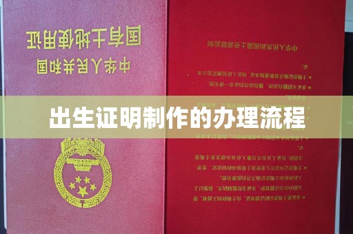 新龙出生证明制作的办理流程