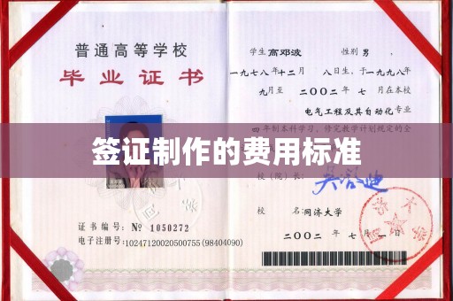新龙签证制作的费用标准