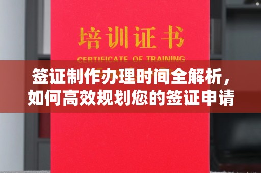 新龙签证制作办理时间全解析，如何高效规划您的签证申请流程