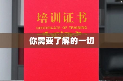 新龙你需要了解的一切