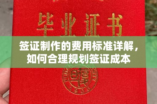 新龙签证制作的费用标准详解，如何合理规划签证成本