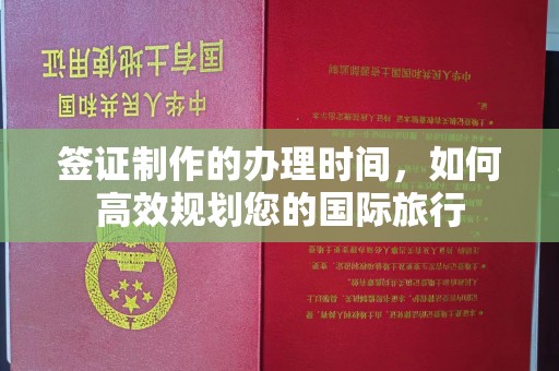 新龙签证制作的办理时间，如何高效规划您的国际旅行
