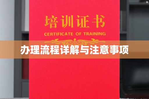 新龙办理流程详解与注意事项