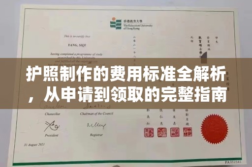 新龙护照制作的费用标准全解析，从申请到领取的完整指南